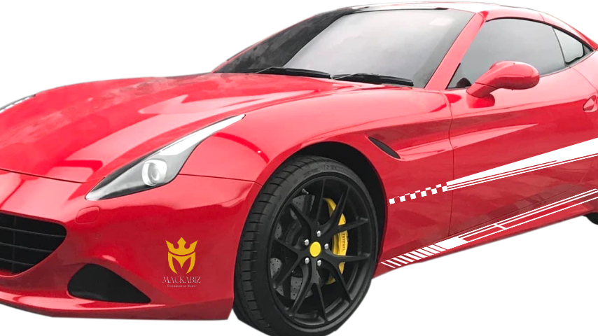 CAR RALLY STRIPES & DECAL STICKERS FOR HOODS, PANELS, FENDERS, SIDE-BODY & REARVIEW MIRRORS