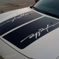 CAR RALLY STRIPES & DECAL STICKERS FOR HOODS, PANELS, FENDERS, SIDE-BODY & REARVIEW MIRRORS