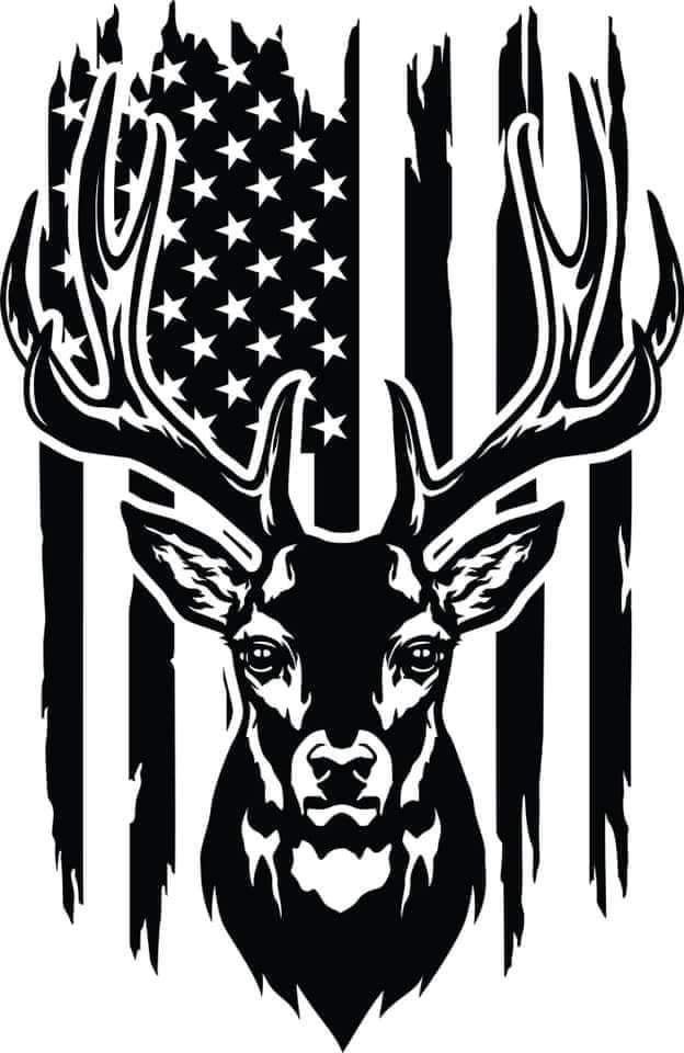 DECALS & STICKER COLLECTION